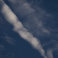 564