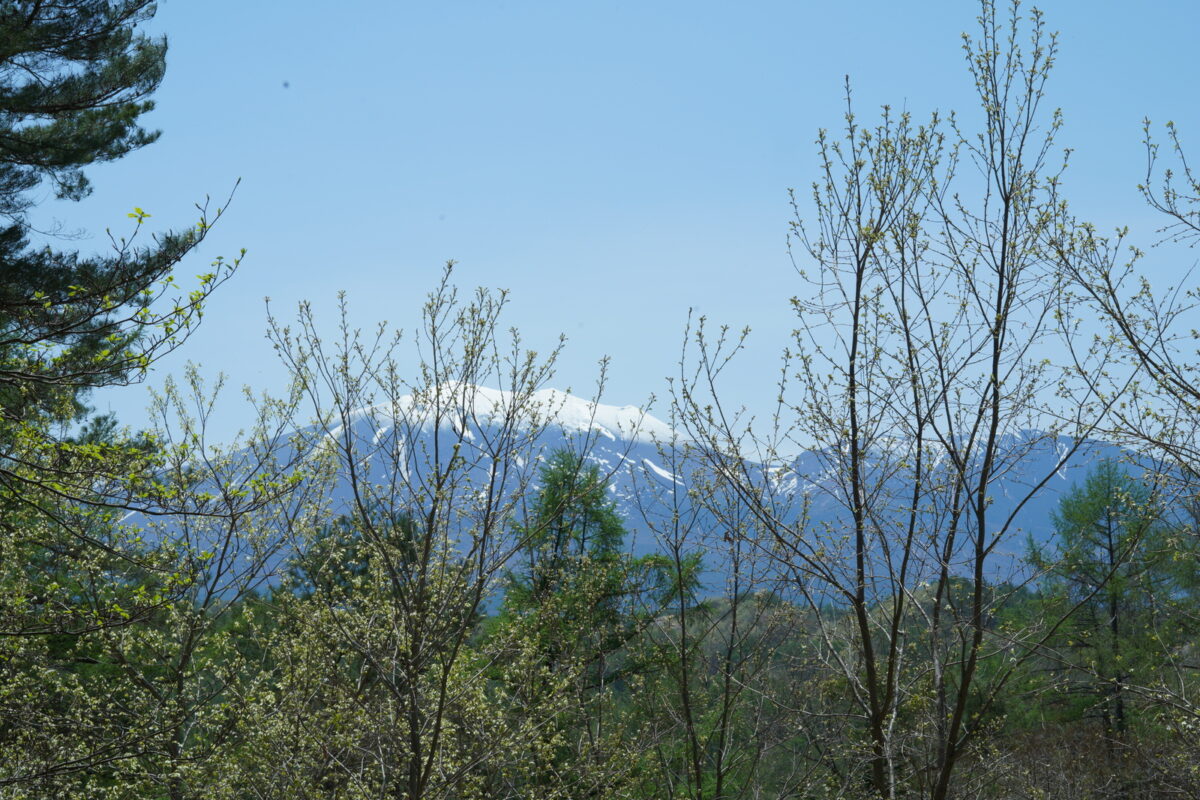 20250503-11-59-41-DSC01957